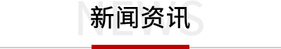 t4